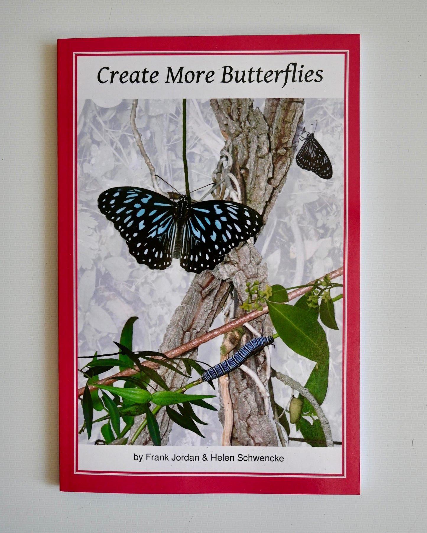 Create More Butterflies