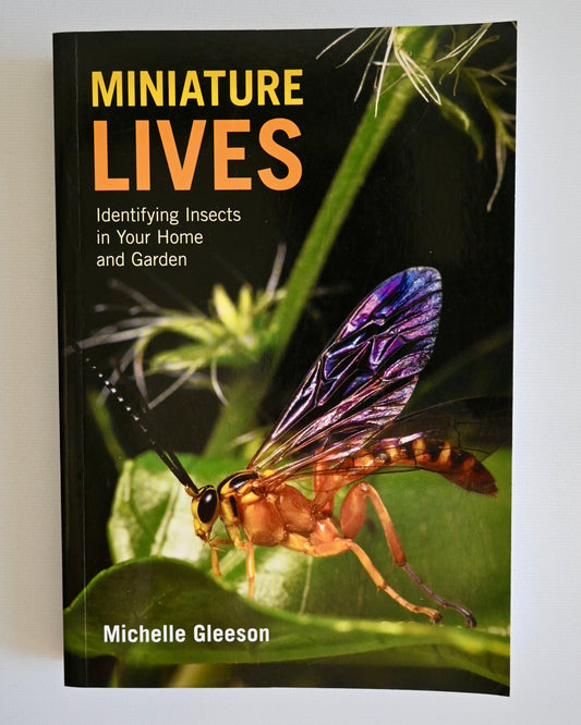 Miniature Lives Book