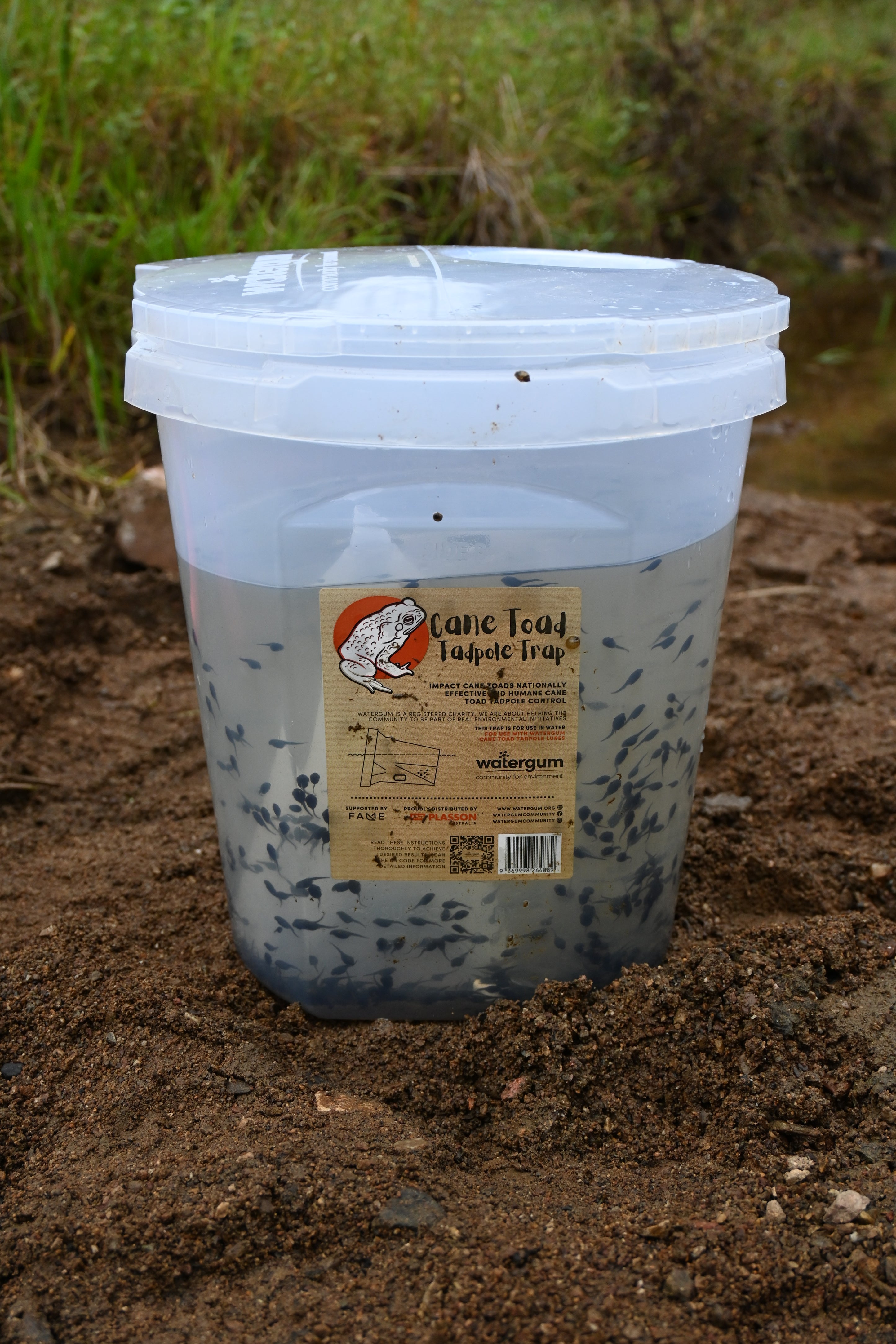 Cane Toad Tadpole Trap and Lure Package Watergum Community